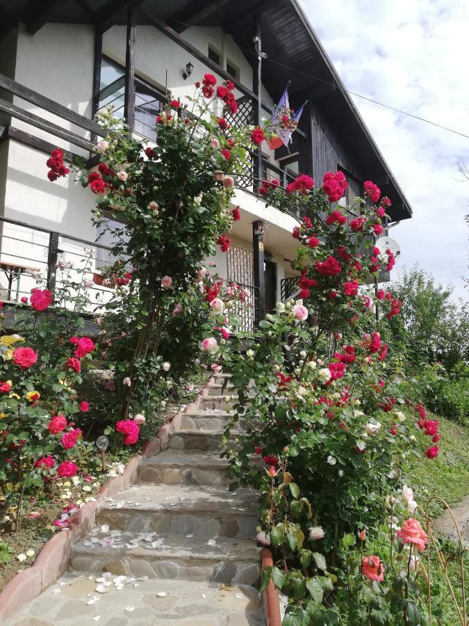 Hotel Casuta Cu Trandafiri Slănic Exteriér fotografie