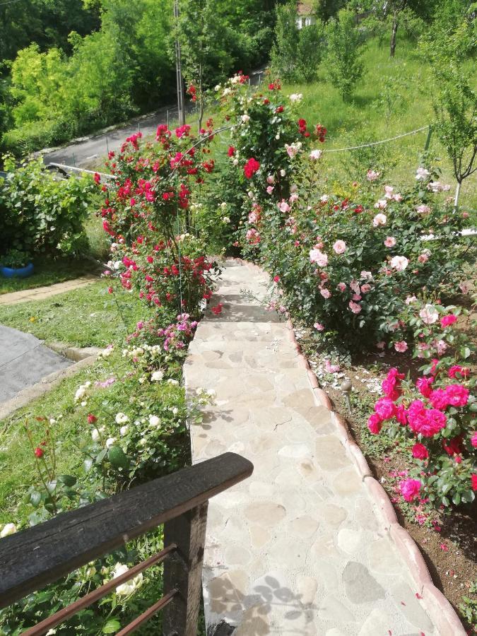 Hotel Casuta Cu Trandafiri Slănic Exteriér fotografie