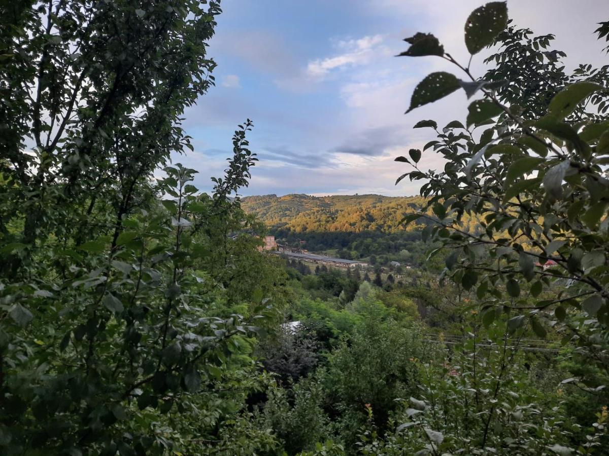 Hotel Casuta Cu Trandafiri Slănic Exteriér fotografie
