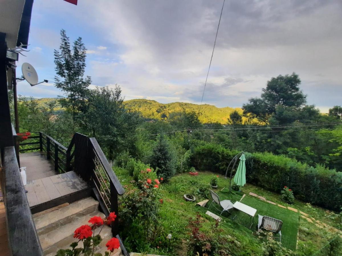 Hotel Casuta Cu Trandafiri Slănic Exteriér fotografie