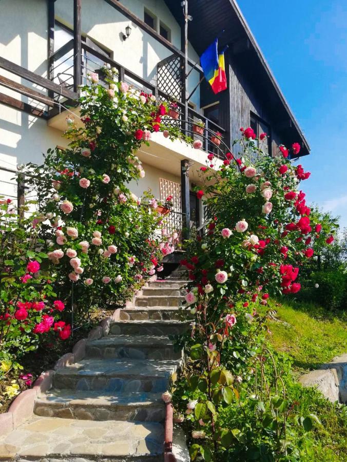 Hotel Casuta Cu Trandafiri Slănic Exteriér fotografie