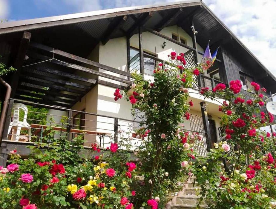 Hotel Casuta Cu Trandafiri Slănic Exteriér fotografie