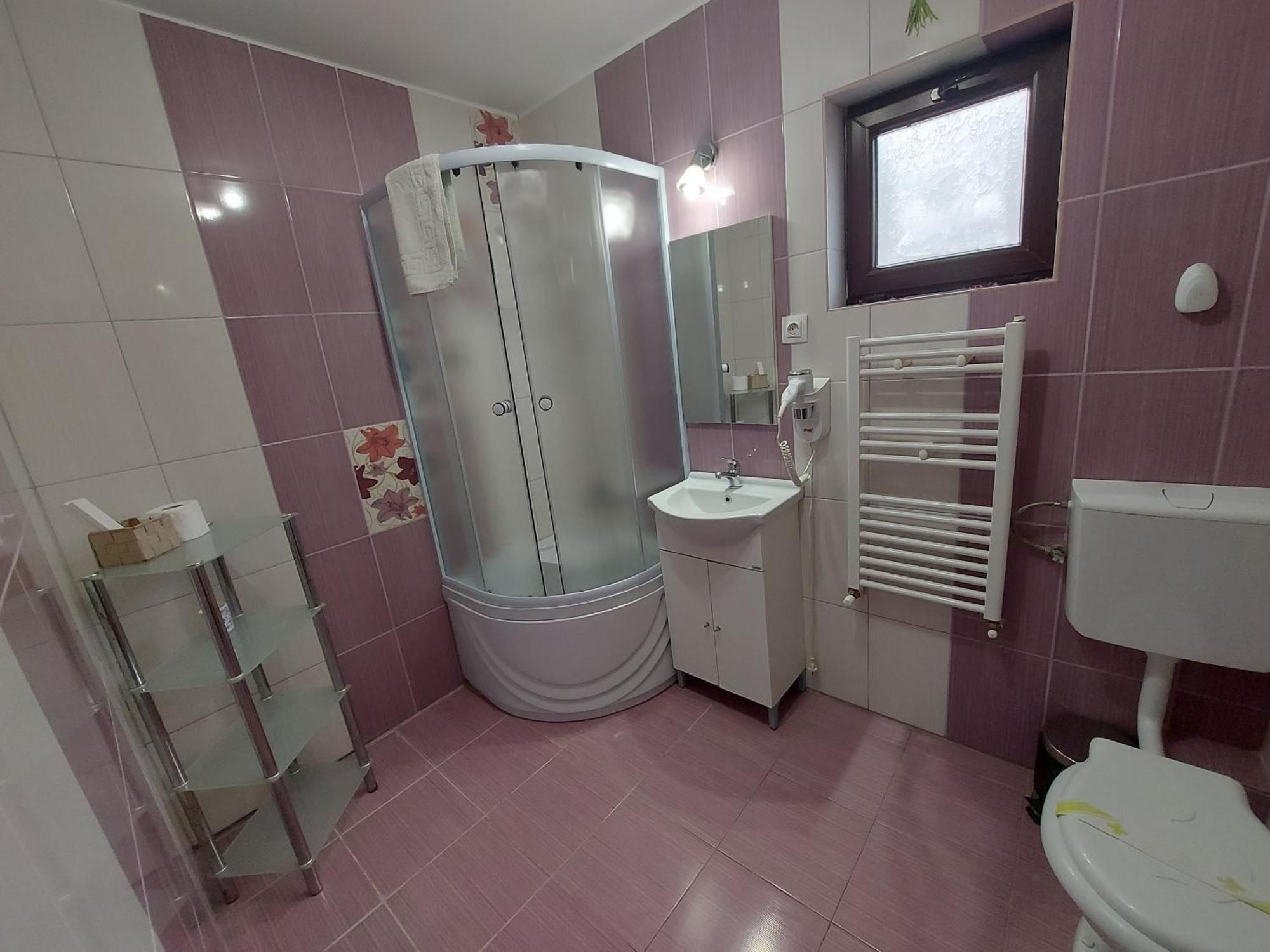 Hotel Casuta Cu Trandafiri Slănic Exteriér fotografie