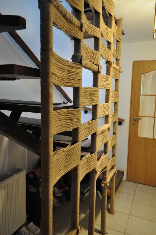 Hotel Casuta Cu Trandafiri Slănic Exteriér fotografie