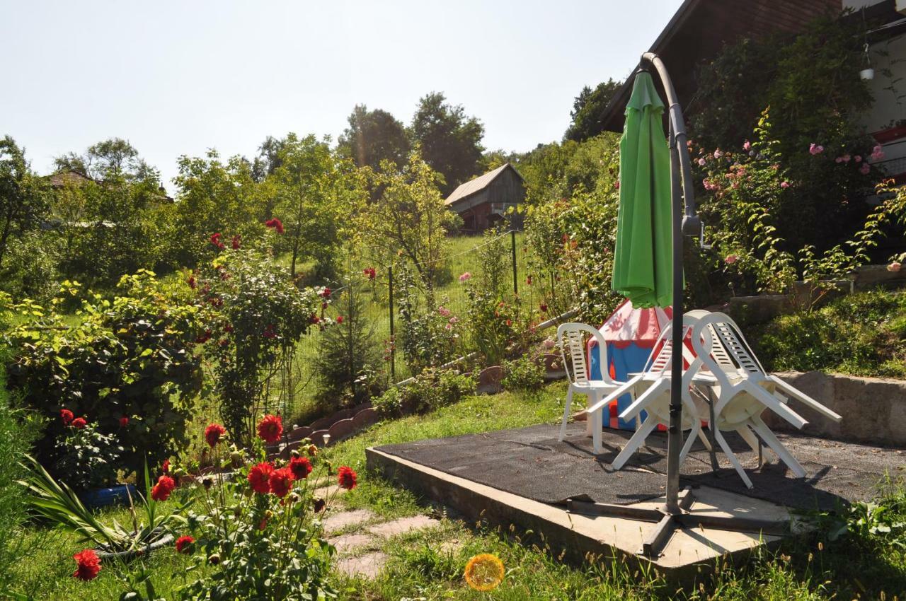 Hotel Casuta Cu Trandafiri Slănic Exteriér fotografie