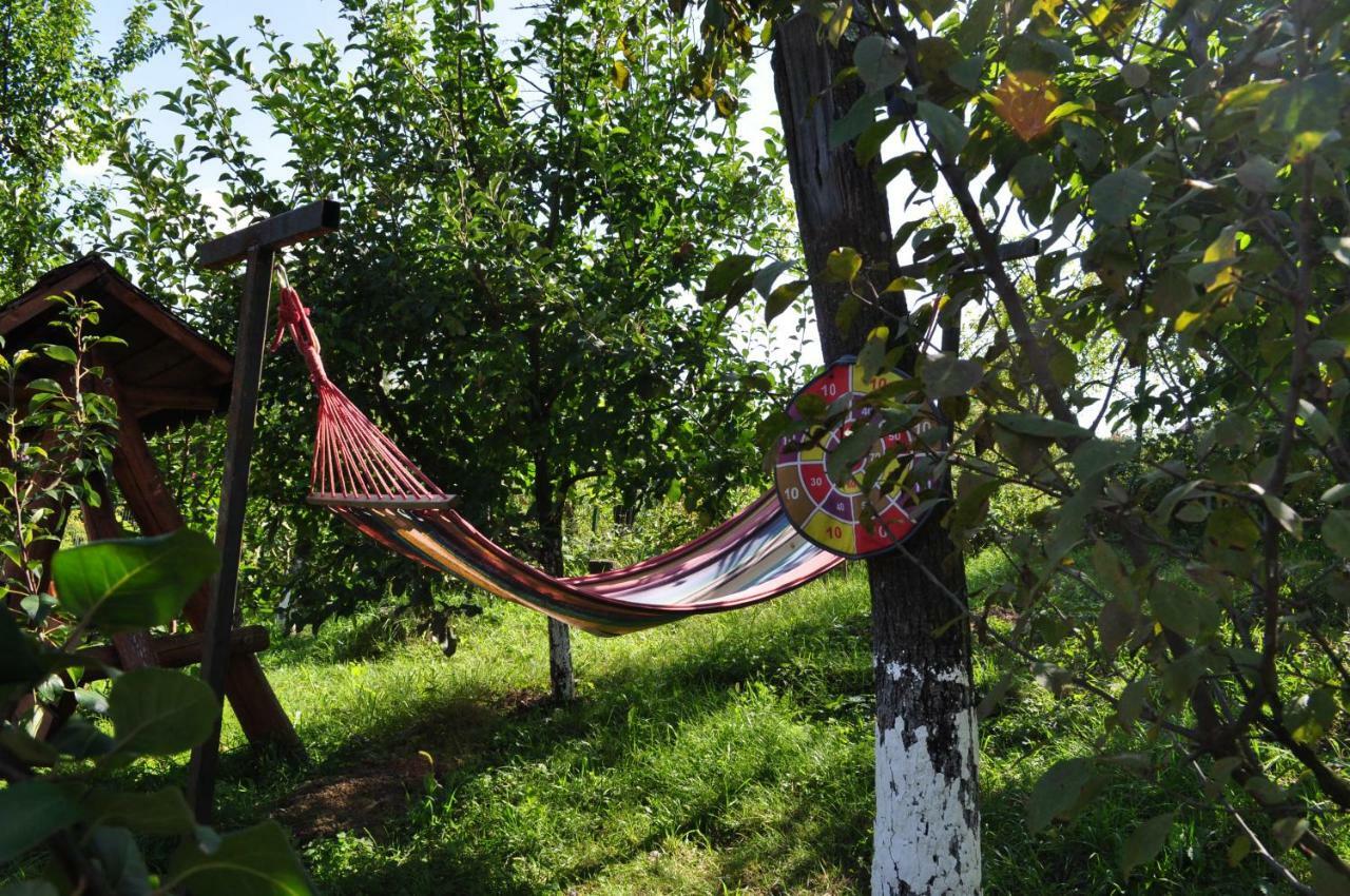 Hotel Casuta Cu Trandafiri Slănic Exteriér fotografie