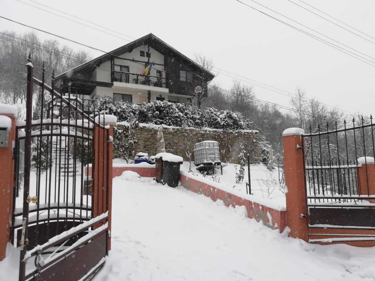 Hotel Casuta Cu Trandafiri Slănic Exteriér fotografie